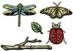287643.jpg (11556 byte)