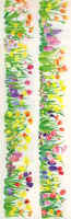 455021s.jpg (9951 byte)