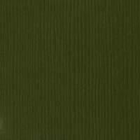 Bazzill Karton / Fourz 12x12" - Capers
