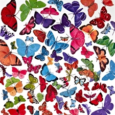 49 and Market - Spectrum Gardenia Laser Cut Elements / Butterfly