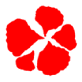 Punch - Begonia Petals (XL)