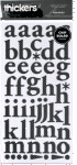 ac53004.jpg (42408 byte)