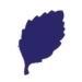 Punch - Birkeblad (M)