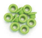 kiwi-eyelet.jpg (57312 byte)