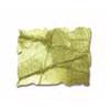 Distress Ink - Peeled Paint