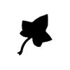 Punch - Ivy (L)