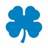 Punch - Clover (M)