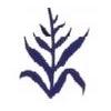 Punch - Stilk med blade / Leaf Stem (XL)