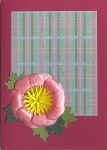 rose1.jpg (48761 byte)