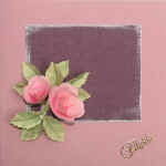 rose.jpg (96706 byte)