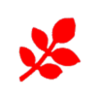 Punch - Ash Leaf (S)