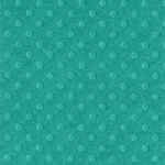 t5-5138.jpg (55107 byte)